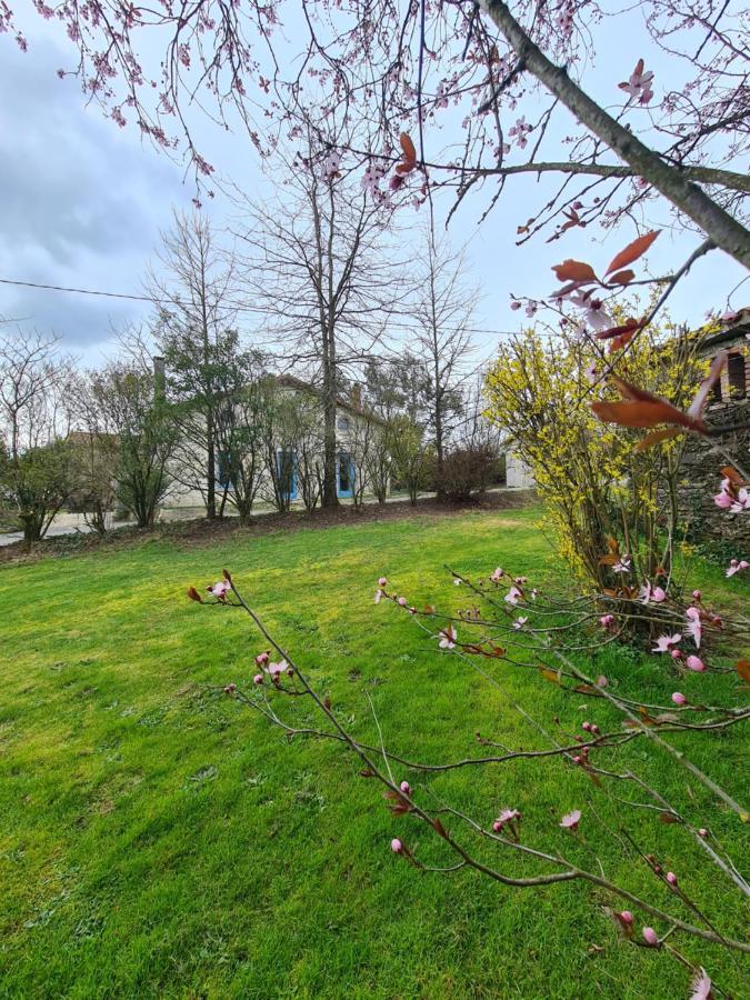 Le Terrier Maison De Campagne 250 M2 Grande Capacite 20 Couchages, 4500M2 De Terrain Villa Saint-Pierre-du-Chemin Екстериор снимка
